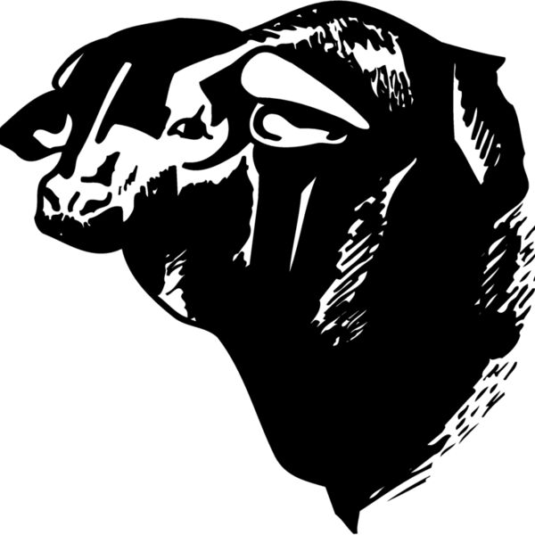COW007 Thumbnail