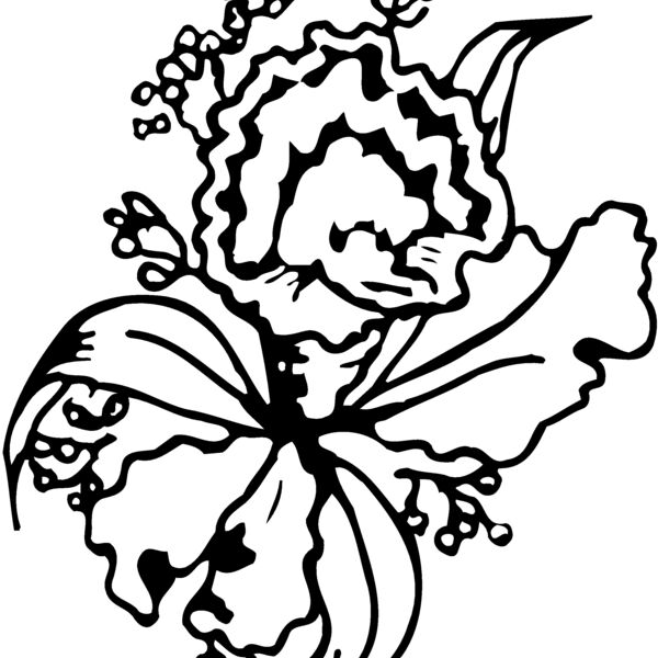 FLOWER13 Thumbnail