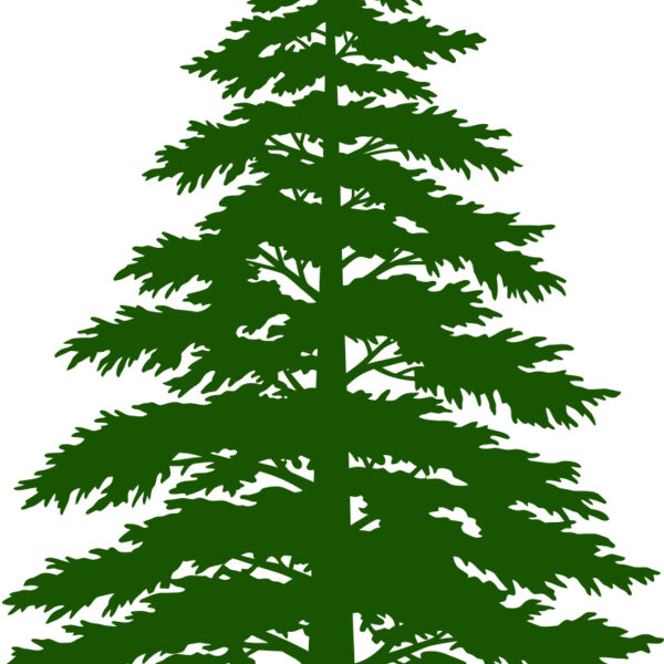 Tree Plant 3 Thumbnail