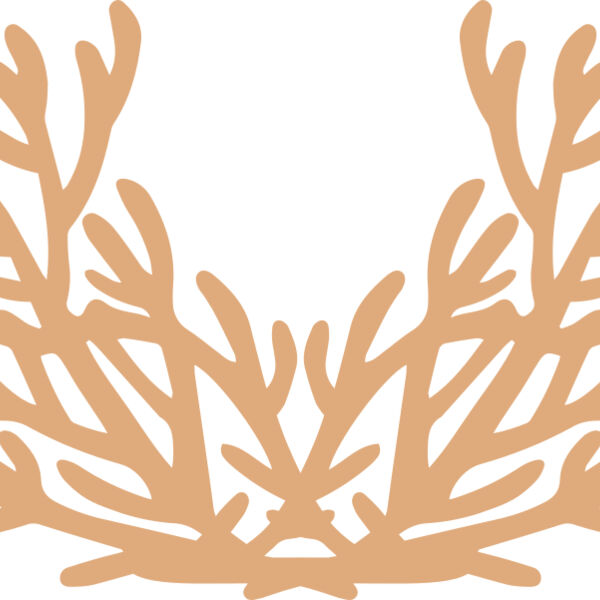 Sea Plants Thumbnail