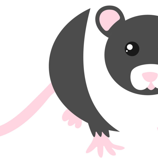 Wild Animals Thumbnail