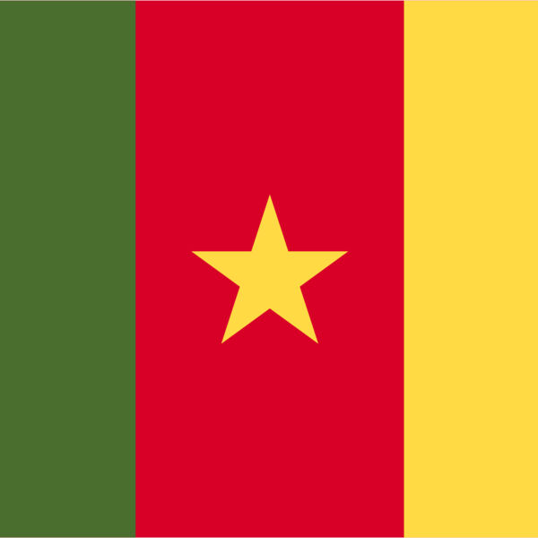 Cameroon Flag Thumbnail