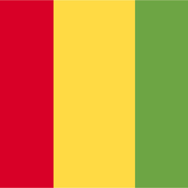 Guinea Flag Thumbnail