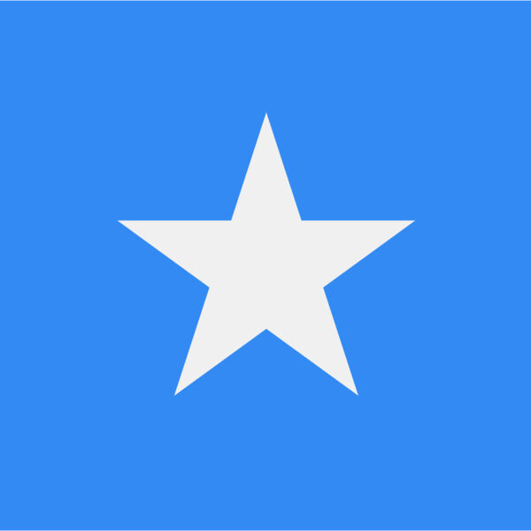 Somalia Flag Thumbnail