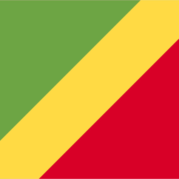 Republic Of The Congo Flag Thumbnail