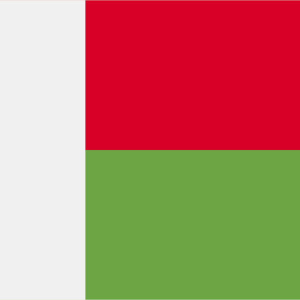 Madagascar Flag Thumbnail