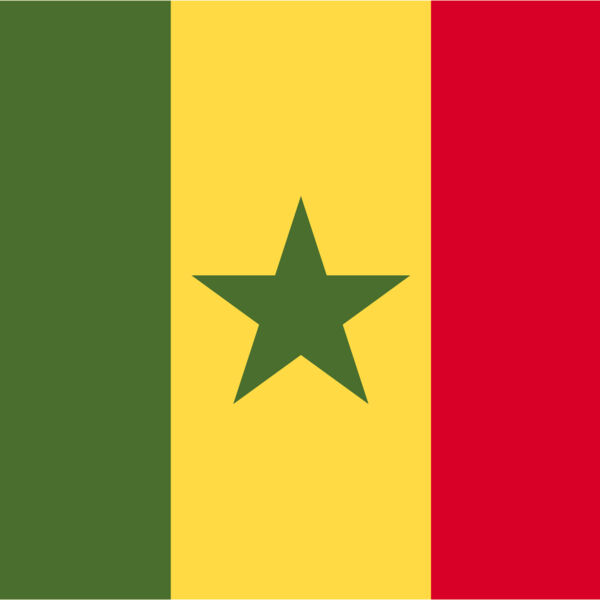 Senegal Flag  Thumbnail