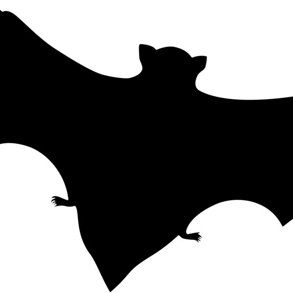 Bat Thumbnail