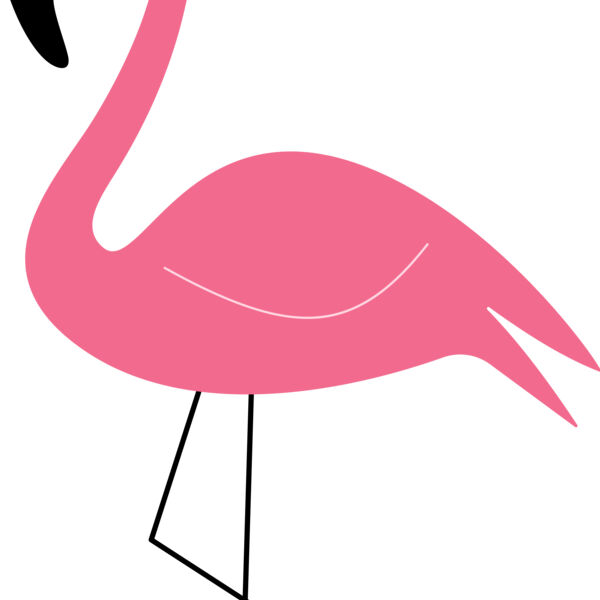 Flamingo  Thumbnail