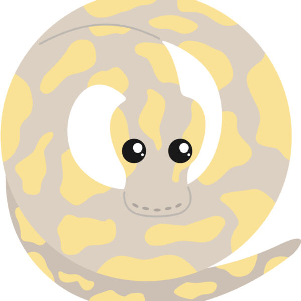 Banana Python Thumbnail