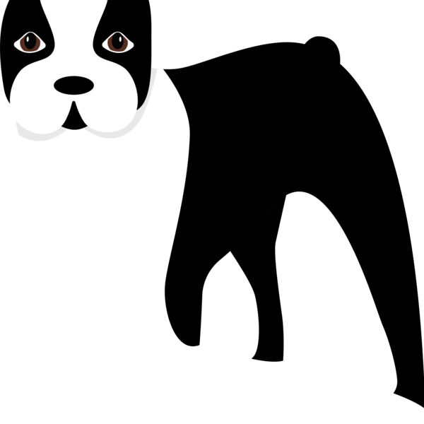 Boston Terrier Thumbnail