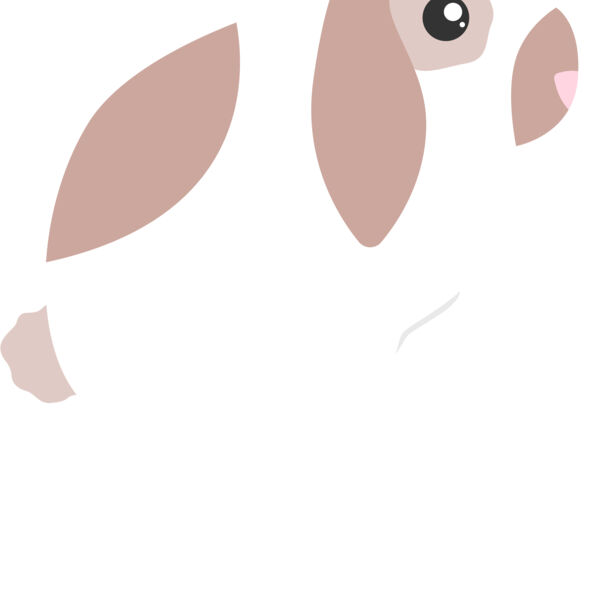 Hoppy Birthday Thumbnail