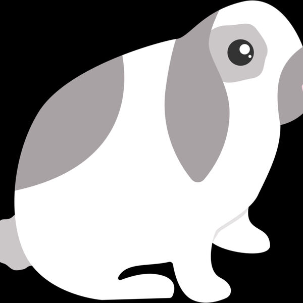 Lop Eared Rabbit Thumbnail