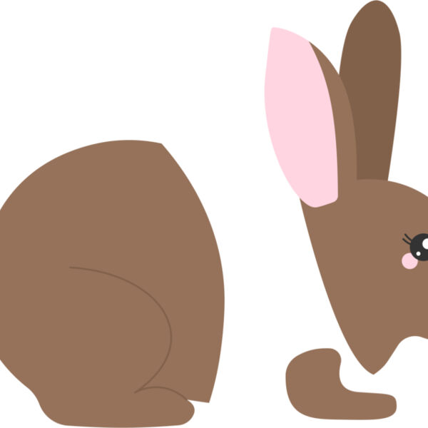 Rabbit Thumbnail