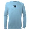 Kid's Raglan Sleeve Crew Neck Sweatshirt Thumbnail