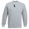 Set-In Sweatshirt Thumbnail
