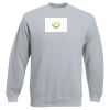 Set-In Sweatshirt Thumbnail