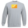 Set-In Sweatshirt Thumbnail