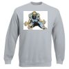 Set-In Sweatshirt Thumbnail