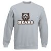 Set-In Sweatshirt Thumbnail