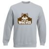 Set-In Sweatshirt Thumbnail