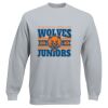 Set-In Sweatshirt Thumbnail