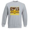 Set-In Sweatshirt Thumbnail