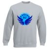 Set-In Sweatshirt Thumbnail
