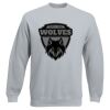 Set-In Sweatshirt Thumbnail