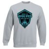 Set-In Sweatshirt Thumbnail