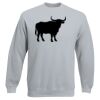 Set-In Sweatshirt Thumbnail
