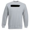 Set-In Sweatshirt Thumbnail