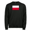 Heavy sweatshirt (5429) Thumbnail