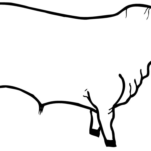 Cows Thumbnail
