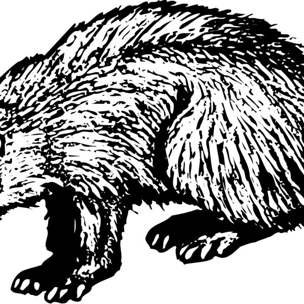 Badger Thumbnail