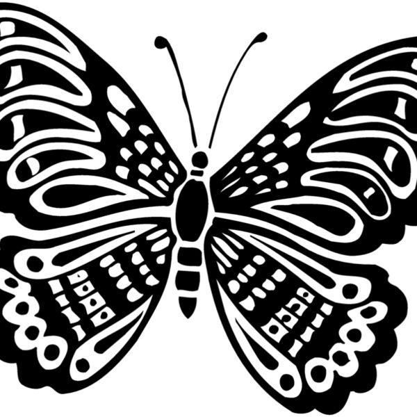 Butterflies Thumbnail