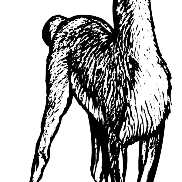 South America Thumbnail